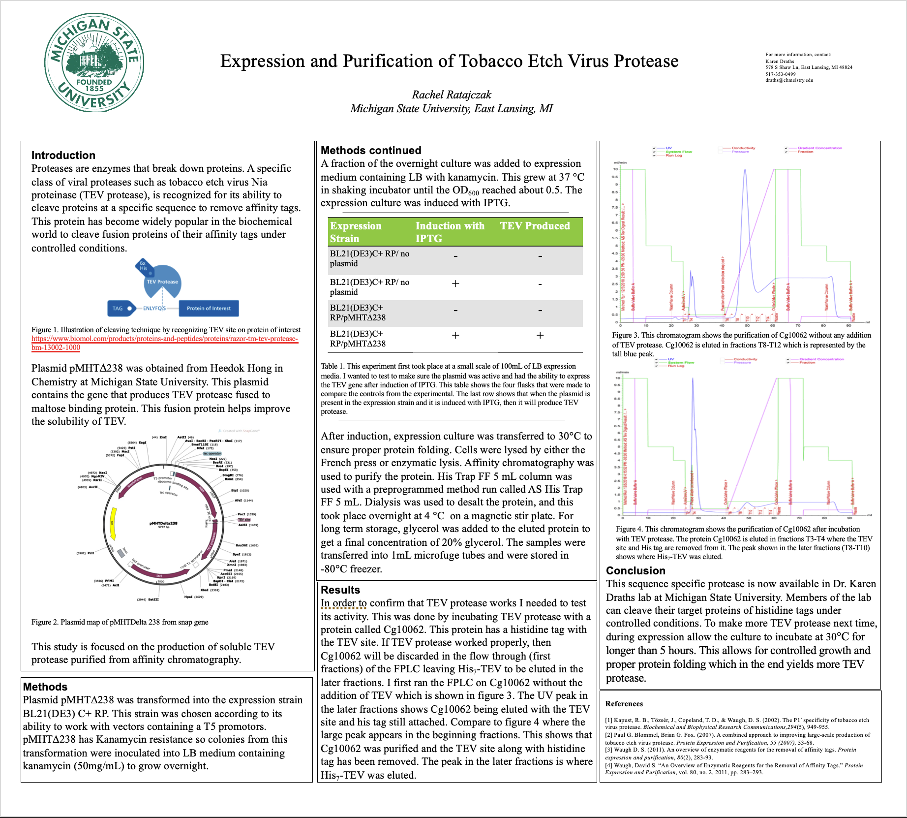 Screenshot of Rachel's TEV protease expression poster